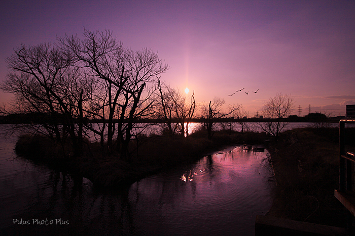 紫の池.jpg